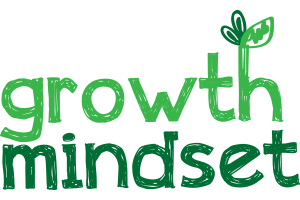 ned's mindset mission yoyo